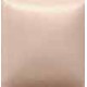 OS441, CARNE VESTIDA, 2 OZ