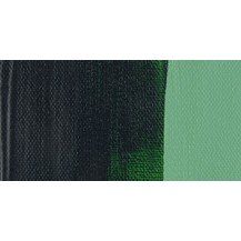 623, VERDE VEJIGA, 120 ML