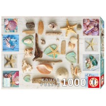 COLLAGE DE CARACOLAS