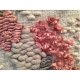 AMANECER LLUVIOSO