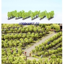 VIÑAS 2,2 CM, 24 UNID