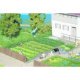 ARRIATE DE PLANTAS HERBACEAS