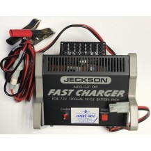 CARGADOR RAPIDO FAST CHARGER