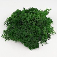 MUSGO VERDE, 15 GR