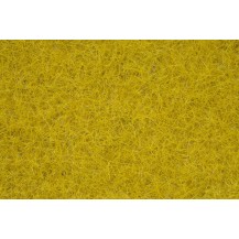 HIERBA CAMPESTRE ORO AMARILLENTO, 50 GR