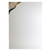 3080, BASTIDOR ENTELADO DE 30X80 CM