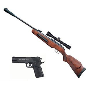 ARMAS DE PERDIGONES