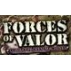 FORCE OF VALOR