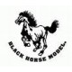 BLACK HORSE